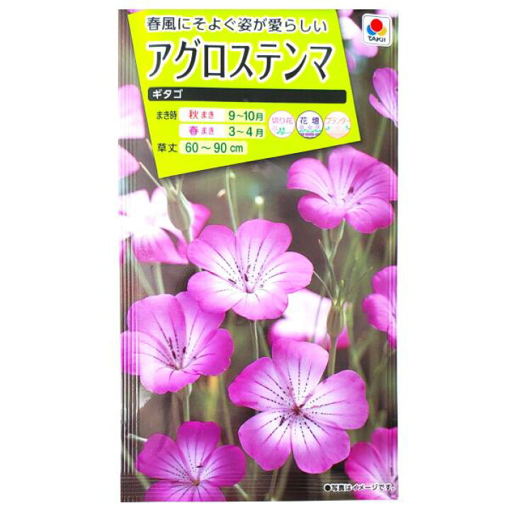 楽天市場 タキイ種苗 アグロステンマ ギタゴ 2ml 定形郵便 定形外郵便での発送のみ送料無料 タキイの種 花壇 プランター 切り花 切り花用 花種 種子 植物 栽培 ガーデニング 自宅で ムギセンノウ ナデシコ科 春まき 秋まき 採苗本数 およそ100本 Fzz437 G Top