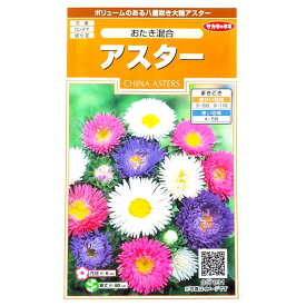 【サカタのタネ】アスター　おたき混合（0.5ml）【定形郵便・定形外郵便での発送のみ送料無料】花壇/コンテナ/プランター/切り花/鉢植え/花壇/花種/種子/植物/栽培/ガーデニング/耐寒性1年草/春まき/秋まき/エゾギク/キク科/粒数目安：75粒/907031