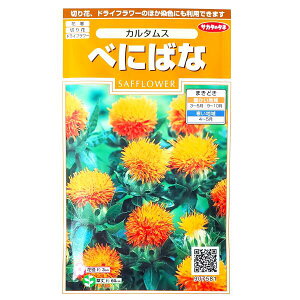 yTJ^̃^lzׂɂ΂ȁ@J^Xi2mljy`XցE`OXւł̔̂ݑzԒd/؂/hCt[/Ԏ/q/A/͔|/K[fjO//g/xjoi/LN/