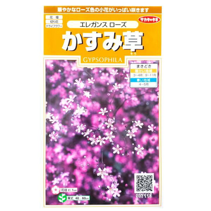 楽天市場 サカタのタネ かすみ草 エレガンス ローズ 0 3ml 定形郵便 定形外郵便での発送のみ送料無料 花壇 切り花 ドライフラワー 切り花用 花種 種子 植物 栽培 ガーデニング 春まき 秋まき 耐寒性1年草 アカバナカスミソウ 採苗本数 およそ0本 G Top