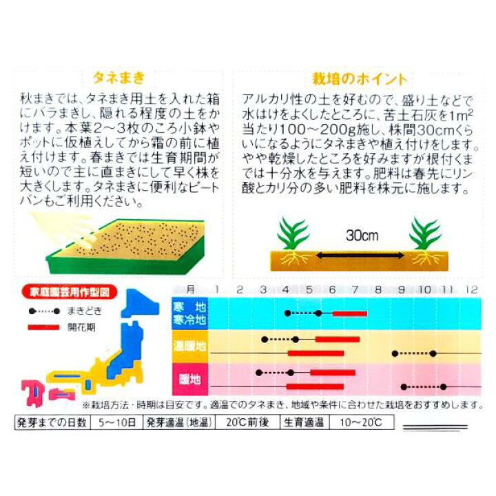 楽天市場 サカタのタネ かすみ草 エレガンス ローズ 0 3ml 定形郵便 定形外郵便での発送のみ送料無料 花壇 切り花 ドライフラワー 切り花用 花種 種子 植物 栽培 ガーデニング 春まき 秋まき 耐寒性1年草 アカバナカスミソウ 採苗本数 およそ0本 G Top 楽天市場 サカタのタネ かすみ草 エレガンス ローズ 0 3ml 定形郵便 定形外郵便での発送のみ送料無料 花壇 切り花 ドライフラワー 切り花用 花種 種子 植物 栽培 ガーデニング 春まき 秋まき 耐寒性1年草 アカバナカスミソウ 採苗本数 およそ0本 G Top