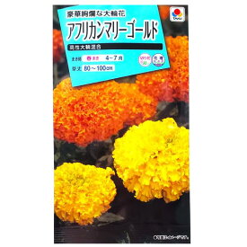 楽天市場 マリーゴールド 種 種子 ガーデニング 農業 花 ガーデン Diyの通販 楽天市場 マリーゴールド 種 種子 ガーデニング 農業 花 ガーデン Diyの通販