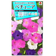 【タキイ種苗】ペチュニア　高性一重咲混合（0.3ml）【定形郵便・定形外郵便での発送のみ送料無料】タキ…
