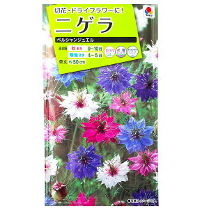 y^LCczjQ@yVWGi1.5mljy`XցE`OXւł̔̂ݑz^LC̎/؂/Ԓd/hCt[/Ԏ/q/A/͔|/K[fjO/N^l\