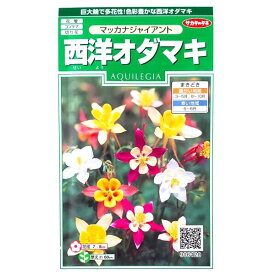楽天市場 サカタのタネ 花の通販