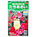 【サカタのタネ】たちあおい　サマー カーニバル（2ml）【定形郵便・定形外郵便での発送のみ送料無料】花壇/花種/種子/植物/栽培/ガーデニング/自宅で/多年草/春まき/夏まき/秋まき/タチアオイ/アオイ科/混合種/粒数目安：25粒/906815