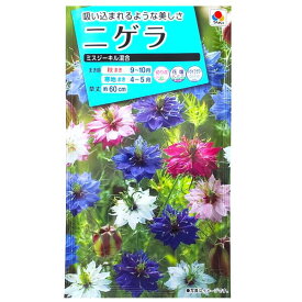楽天市場 ニゲラ 種の通販
