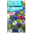 【タキイ種苗】ニゲラ　ミスジーキル混合（1.5ml）【定形郵便・定形外郵便での発送のみ送料無料】タキイの種/切り花/花壇/ドライフラワー/花種/種子/植物/栽培/ガーデニング/自宅で/クロタネソウ/キンポウゲ科/春まき/秋まき/寒地まき/採苗本数：およそ130本/FZZ775