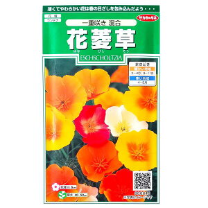 yTJ^̃^lzԕH@d炫@i0.5mljy`XցE`OXւł̔̂ݑzԒd/Rei/v^[/Ԏ/q/A/͔|/K[fjO//ϊ1N/nirV