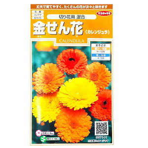 yTJ^̃^lzԁiJWj@؂ԗp i2mljy`XցE`OXւł̔̂ݑzԒd/Rei/v^[/؂/Ԏ/q/A/LZJ/ᵉ/LN