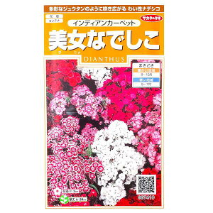 yTJ^̃^lzȂł@CfBAJ[ybgi0.5mljy`XցE`OXւł̔̂ݑzԒd/Rei/v^[/Ԏ/q/A/ϊ1N/t܂/Ă܂/H