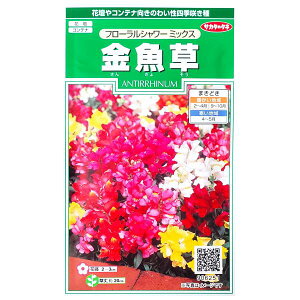 【サカタのタネ】金魚草 フローラルシャワー ミックス(0.05ml)【定形郵便・定形外郵便での発送のみ送料無料】花壇/コンテナ/プランター/花種/種子/植物/栽培/ガーデニング/自宅で/春まき