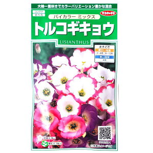 yTJ^̃^lzgRMLE@oCJ[ ~bNXi45jy`XցE`OXւł̔̂ݑzRei/؂/؂ԗp/Ԏ/q/A/͔|/K[fjO//h