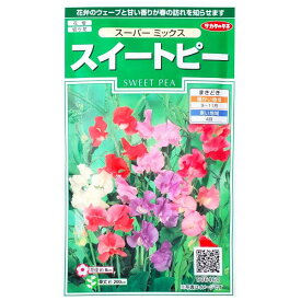 楽天市場 スイートピー 切り花の通販