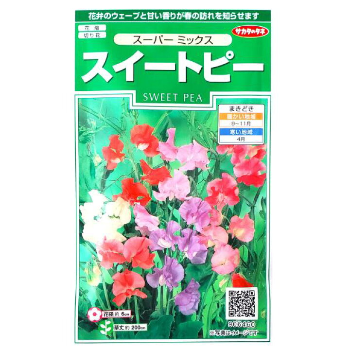 楽天市場 サカタのタネ スイートピー スーパー ミックス 2ml 定形郵便 定形外郵便での発送のみ送料無料 花壇 切り花 花種 種子 植物 栽培 ガーデニング 自宅で ジャコウレンリソウ 耐寒性1年草 春まき 秋まき 採苗本数 およそ8本 G Top 楽天市場 サカタのタネ スイートピー スーパー ミックス 2ml 定形郵便 定形外郵便での発送のみ送料無料 花壇 切り花 花種 種子 植物 栽培 ガーデニング 自宅で ジャコウレンリソウ 耐寒性1年草 春まき 秋まき 採苗本数 およそ8本 G Top
