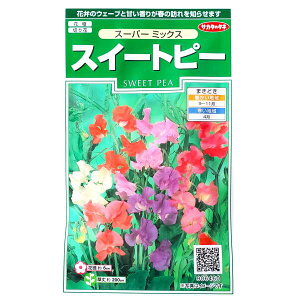 yTJ^̃^lzXC[gs[@X[p[@~bNXi2mljy`XցE`OXւł̔̂ݑzԒd/؂/Ԏ/q/A/͔|/K[fjO//WRE\E/ϊ