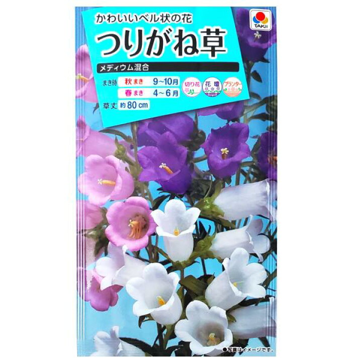 楽天市場 タキイ種苗 つりがね草 メディウム混合 0 6ml 定形郵便 定形外郵便での発送のみ送料無料 タキイの種 花壇 切り花 プランター 花種 種子 植物 栽培 ガーデニング ツリガネソウ フウリンソウ キキョウ科 春まき 秋まき 採苗本数 およそ600本 Ftu350 G Top