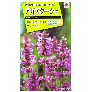 シソ 花 農業資材 ガーデニング用品の人気商品 通販 価格比較 価格 Com