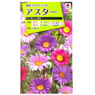 【タキイ種苗】アスター　マーガレット混合（1ml）【定形郵便・定形外郵便での発送のみ送料無料】タキイ…
