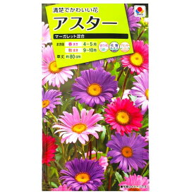 楽天市場 マーガレット 種の通販