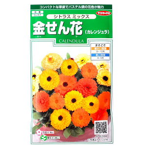 yTJ^̃^lzԁiJWj@VgX ~bNXi3mljy`XցE`OXւł̔̂ݑzԒd/Rei/v^[/Ԏ/q/A/K[fjO/LZJ/