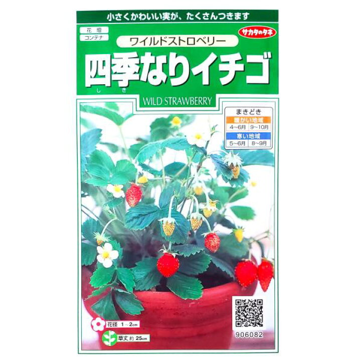 楽天市場 サカタのタネ 四季なりイチゴ ワイルドストロベリー 0 1ml 定形郵便 定形外郵便での発送のみ送料無料 花壇 コンテナ プランター 花種 種子 植物 栽培 ガーデニング 自宅で 多年草 春まき 秋まき シキナリイチゴ 採苗本数 およそ100本 9060 G Top 楽天市場 サカタのタネ 四季なりイチゴ ワイルドストロベリー 0 1ml 定形郵便 定形外郵便での発送のみ送料無料 花壇 コンテナ プランター 花種 種子 植物 栽培 ガーデニング 自宅で 多年草 春まき 秋まき シキナリイチゴ 採苗本数 およそ100本 9060 G Top