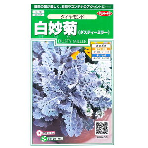 yTJ^̃^lzei_XeB[~[j@_Chi0.3mljy`XցE`OXւł̔̂ݑzԒd/Rei/v^[/Ԏ/q/A/͔|/K[fjO/V^G