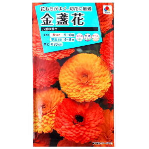 y^LCczᵉԁ@d獬i3mljy`XցE`OXւł̔̂ݑz^LC̎/؂/Ԓd/Rei/v^[/Ԏ/q/A/͔|/K[fjO//LZ