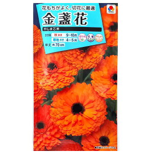 y^LCczᵉԁ@₵ܐci3mljy`XցE`OXւł̔̂ݑz^LC̎/؂/Ԓd/Rei/v^[/Ԏ/q/A/͔|/K[fjO//LZ