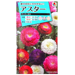 y^LCczAX^[@||i1mljy`XցE`OXւł̔̂ݑz^LC̎/؂/Ԓd/v^[/Ԏ/q/A/͔|/K[fjO//G]MN/LN