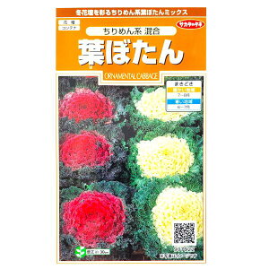 yTJ^̃^lztڂ@߂n i0.2mljy`XցE`OXւł̔̂ݑzԒd/Rei/v^[/񂹐A/Ԏ/q/A/K[fjO//n{^/Au