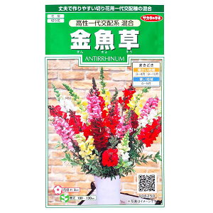 yTJ^̃^lz@zn i0.05mljy`XցE`OXւł̔̂ݑzԒd/؂/Ԏ/q/A/͔|/K[fjO//S}mnOT/t܂/H