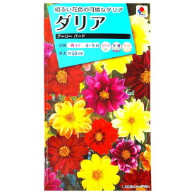 【タキイ種苗】ダリア　アーリー　バード（2.5ml）【定形郵便・定形外郵便での発送のみ送料無料】タキイの種/花壇/切り花/鉢植/プランター/花種/種子/植物/栽培/ガーデニング/自宅で/春まき/テンジクボタン/キク科/採苗本数：およそ35本/FDR130