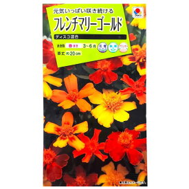 【タキイ種苗】フレンチマリーゴールド　ディスコ混合（2ml）【定形郵便・定形外郵便での発送のみ送料無料】タキイの種/花壇/鉢植/プランター/花種/種子/植物/栽培/ガーデニング/自宅で/クジャクソウ/キク科/春まき/採苗本数：およそ20本/FKJ320