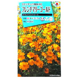 【タキイ種苗】フレンチマリーゴールド　グランドコントロール（5ml）【定形郵便・定形外郵便での発送のみ送料無料】タキイの種/花壇/鉢植/プランター/花種/種子/植物/栽培/ガーデニング/自宅で/クジャクソウ/キク科/春まき/採苗本数：およそ60本/FKJA01