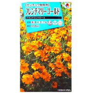 【タキイ種苗】フレンチマリーゴールド　グランドコントロール（5ml）【定形郵便・定形外郵便での発送の…