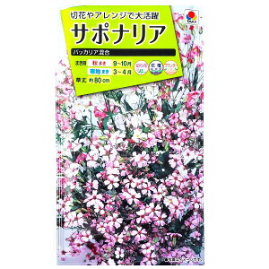 y^LCczT|iA@obJAi2mljy`XցE`OXւł̔̂ݑz^LC̎/؂/Ԓd/v^[/Ԏ/q/A/͔|/K[fjO//hEJ\