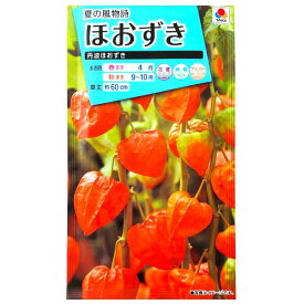 【タキイ種苗】ほおずき　丹波ほおずき（0.8ml）【定形郵便・定形外郵便での発送のみ送料無料】タキイの種/花壇/鉢植/プランター/花種/種子/植物/栽培/ガーデニング/自宅で/ホオズキ/ナス科/宿根草/春まき/秋まき/採苗本数：およそ130本/FZZ320