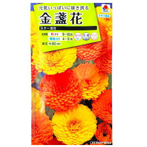 y^LCczᵉԁ@X^[i5mljy`XցE`OXւł̔̂ݑz^LC̎/؂/Ԓd/Rei/v^[/Ԏ/q/A/͔|/K[fjO//LZ