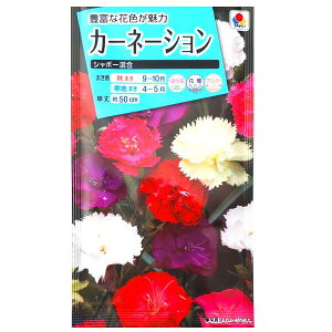 y^LCczJ[l[V@V{[i0.4mljy`XցE`OXւł̔̂ݑz^LC̎/Ԓd/v^[/؂/Ԏ/q/K[fjO/I_ZL`N/ifV