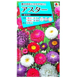 y^LCczAX^[@d獬i1.2mljy`XցE`OXւł̔̂ݑz^LC̎/؂/Ԓd/v^[/Ԏ/q/A/͔|/K[fjO//G]MN/LN