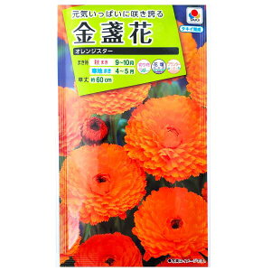 y^LCczᵉԁ@IWX^[i5mljy`XցE`OXւł̔̂ݑz^LC̎/؂/Ԓd/Rei/v^[/Ԏ/q/A/͔|/K[fjO/LZJ/