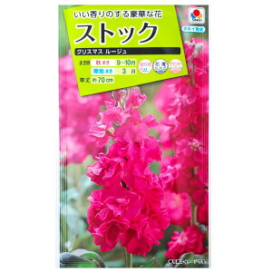 y^LCczXgbN@NX}X [Wi0.5mljy`XցE`OXւł̔̂ݑz^LC̎/؂/Ԓd/Rei/v^[/Ԏ/q/A/AZCgE/Aui