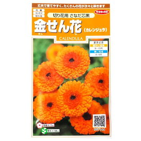 【サカタのタネ】金せん花（カレンジュラ）　切り花用　さなだ芯黒（2ml）【定形郵便・定形外郵便での発送のみ送料無料】花壇/コンテナ/プランター/切り花/花種/種子/植物/ガーデニング/キンセンカ/金盞花/耐寒性1年草/春まき/秋まき/粒数目安：45粒/907144