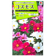 【タキイ種苗】コスモス　ソナタ プレミアムミックス（50粒）【定形郵便・定形外郵便での発送のみ送料無…