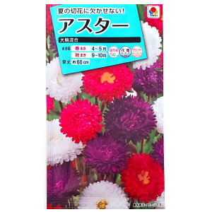 夏 プランター 花 種の人気商品 通販 価格比較 価格 Com