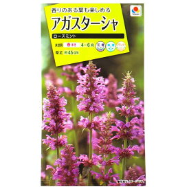 【タキイ種苗】アガスターシャ　ローズミント（80粒）【定形郵便・定形外郵便での発送のみ送料無料】タキイの種/花壇/鉢植/プランター/花種/種子/植物/栽培/ガーデニング/自宅で/シソ科/春まき/採苗本数：およそ45本/FATA03