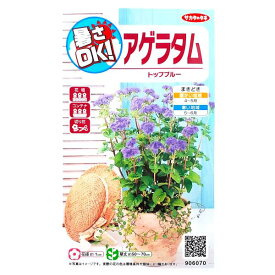 【サカタのタネ】アゲラタム　トップブルー（0.05ml）【定形郵便・定形外郵便での発送のみ送料無料】花壇/コンテナ/プランター/切り花/花種/種子/植物/栽培/ガーデニング/自宅で/カッコウアザミ/キク科/春まき1年草/粒数目安：45粒/906070