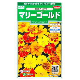 【特価品：有効期限2025年10月末日】【サカタのタネ】マリーゴールド　一重咲き　混合（1.2ml）【定形外郵便での発送のみ送料無料】花壇/コンテナ/プランター/クジャクソウ/花種/種子/植物/栽培/ガーデニング/キク科/春まき1年草/混合種/粒数目安：50粒/906841