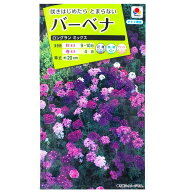 【タキイ種苗】バーベナ　ロングラン ミックス（0.5ml）【定形郵便・定形外郵便での発送のみ送料無料】タ…